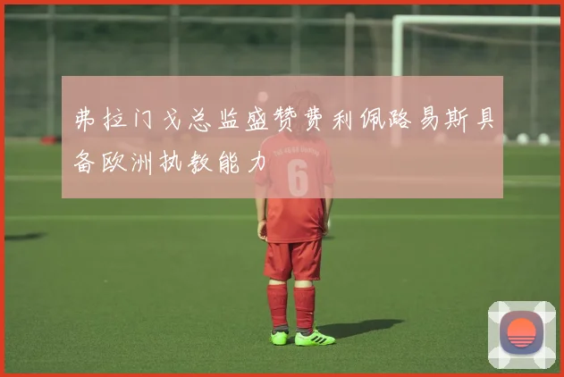 弗拉门戈总监盛赞费利佩路易斯具备欧洲执教能力