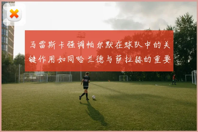 马雷斯卡强调帕尔默在球队中的关键作用如同哈兰德与萨拉赫的重要性