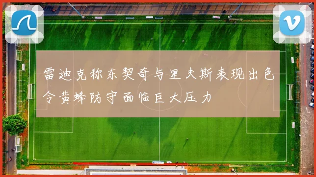 雷迪克称东契奇与里夫斯表现出色令黄蜂防守面临巨大压力