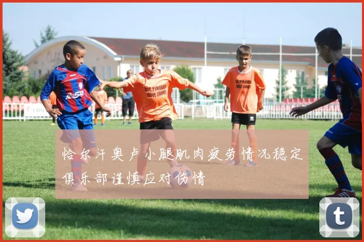 恰尔汗奥卢小腿肌肉疲劳情况稳定俱乐部谨慎应对伤情