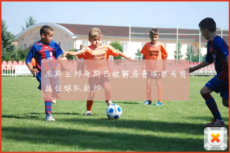 尼斯主帅海斯已被解雇普埃尔或将接任球队新帅