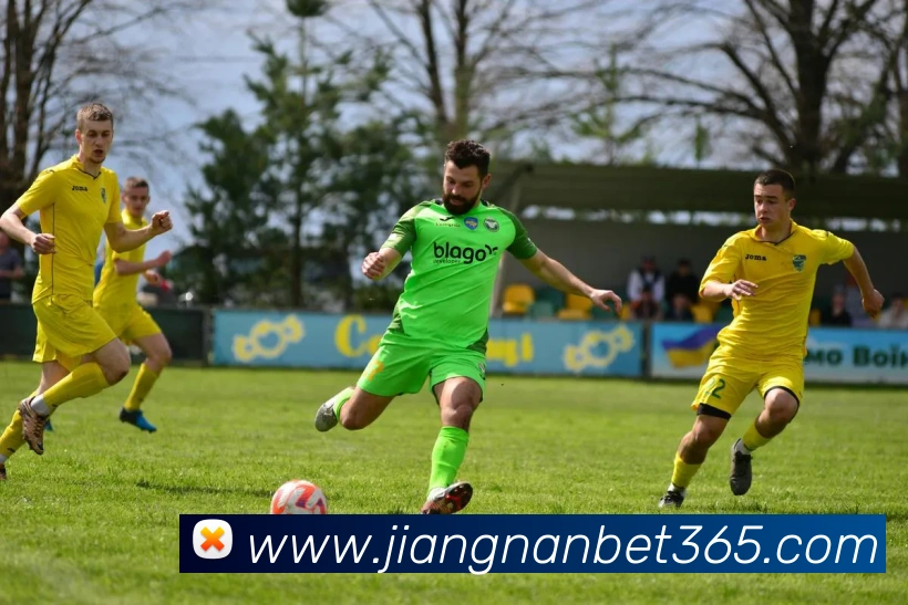 江南体育平台生态图