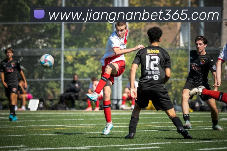 江南体育APP 封面图